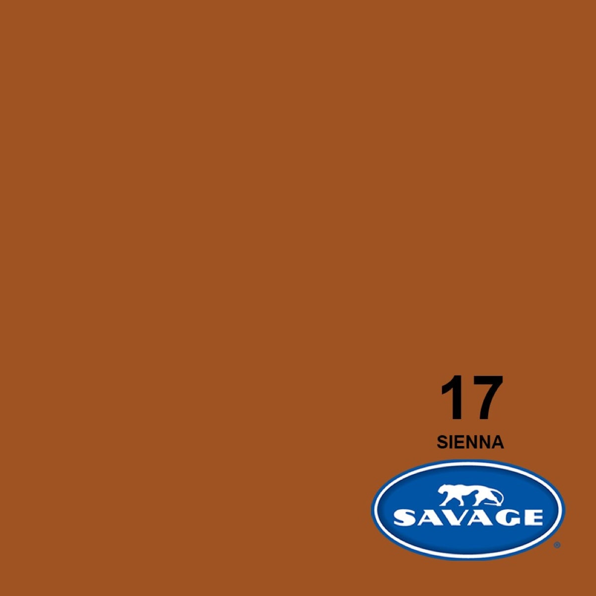 Background Roll 2,70 x 11 m / 9 x 36', sienna 17