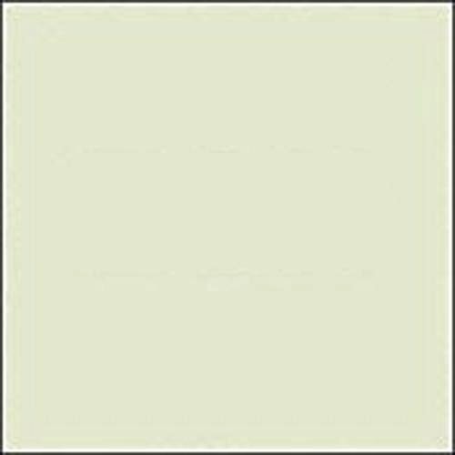 Lee Filters 1/8 Plus Green (278)