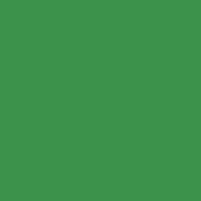 Colorama Background Roll 1,35 x 11 m / 4,5 x 36', chroma green 33