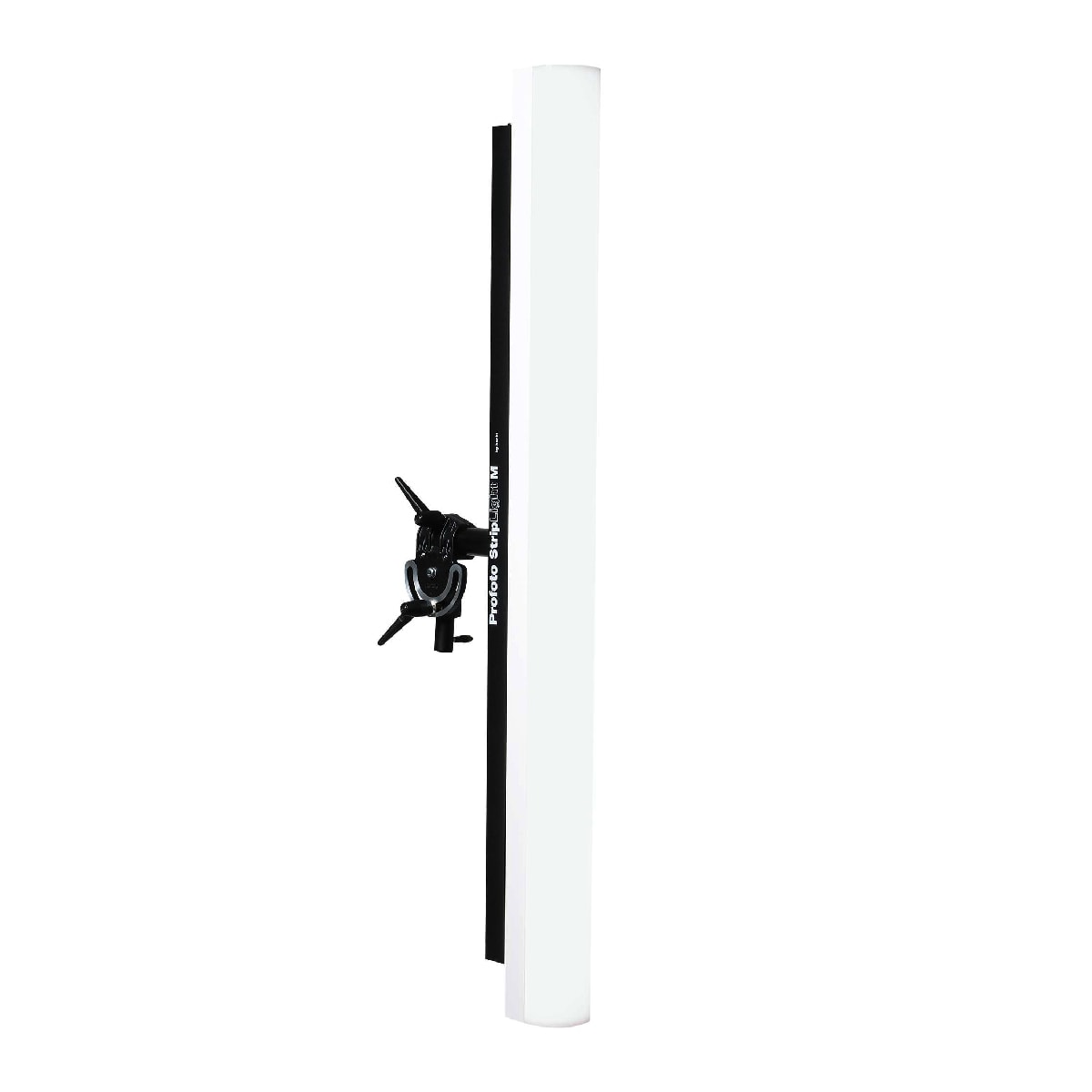 Profoto Striplight Medium 120V (10 x 130 cm / 3.9 x 51.2 in.)