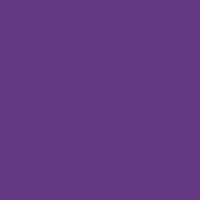 Colorama Background Roll 2,70 x 11 m / 9 x 36', royal purple 92