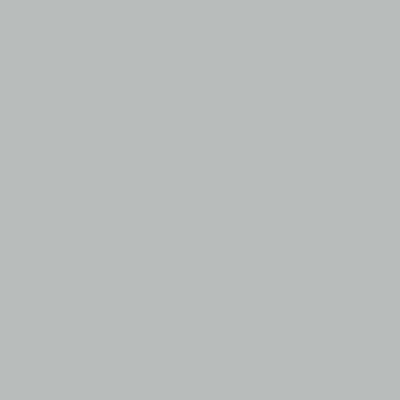 Colorama Background Roll 1,35 x 11 m / 4,5 x 36', mist grey 102